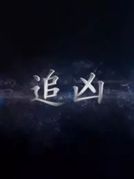 追凶(全集)